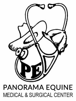 Panorama Equine